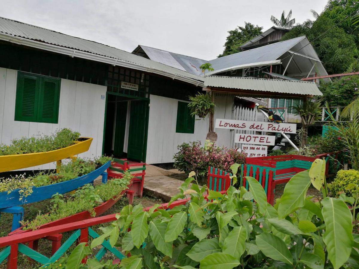 Hotel Lomas Del Paiyue Puerto Nariño Exterior foto